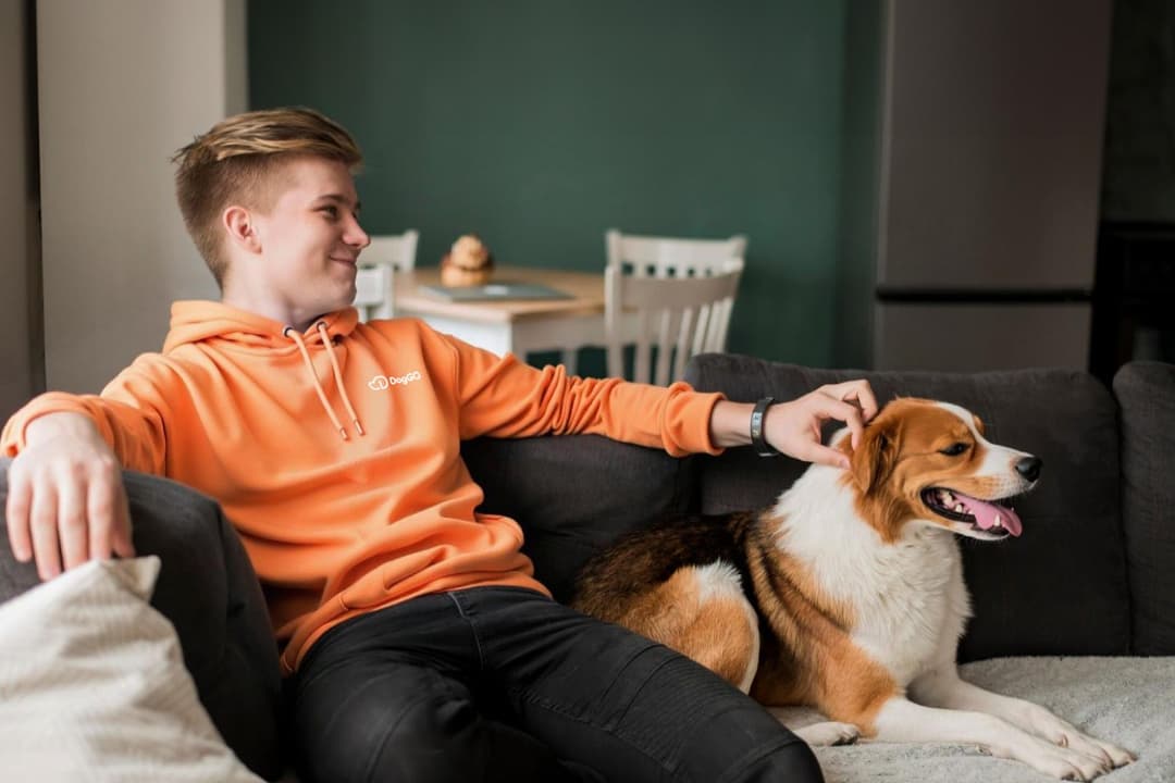 İstanbul Maltepe Köpek Pansiyon Hizmeti